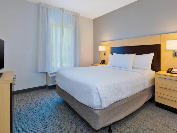 TownePlace Suites by Marriott Nashville Airport : photo 3 de la chambre suite 1 chambre lit queen-size avec canapé-lit