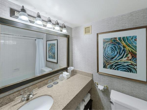 The Westin San Antonio North : photo 4 de la chambre chambre deluxe avec 2 lits queen-size