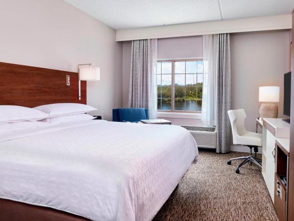 Sheraton Jacksonville Hotel : photo 4 de la chambre chambre traditionnelle avec 1 lit king-size