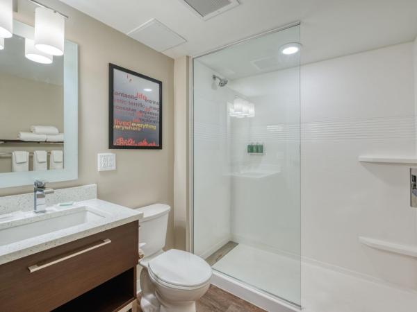 TownePlace Suites by Marriott Indianapolis Airport : photo 10 de la chambre studio lit king-size avec canapé-lit