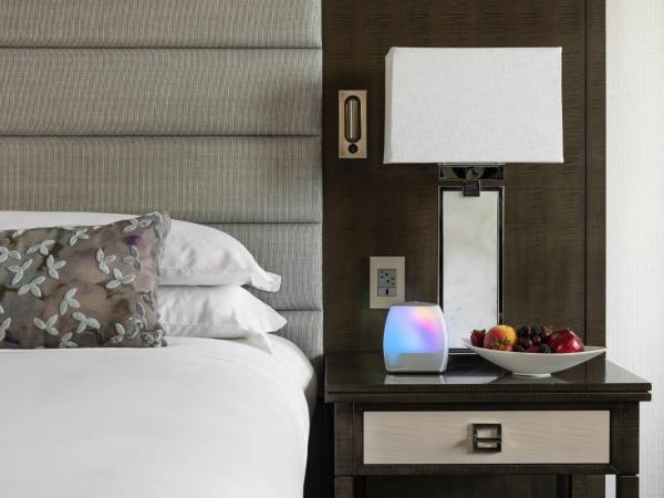 The Ritz-Carlton Atlanta : photo 1 de la chambre chambre pure wellness 1 lit king-size