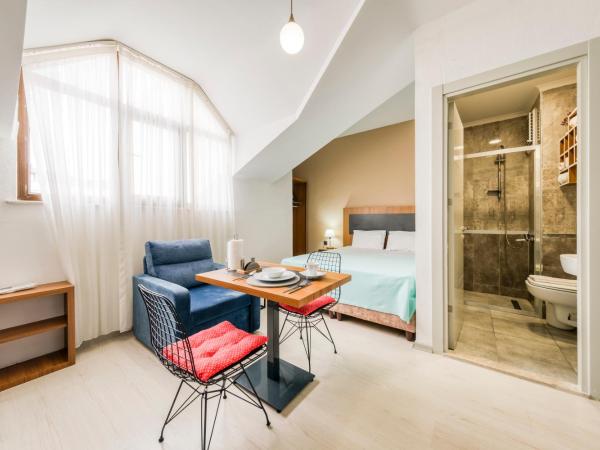 Zin D Sefin Aparts : photo 3 de la chambre studio