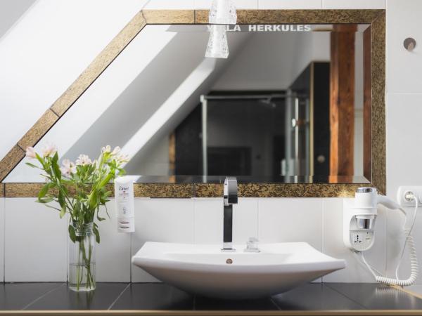 H Villa Herkules : photo 10 de la chambre appartement supérieur