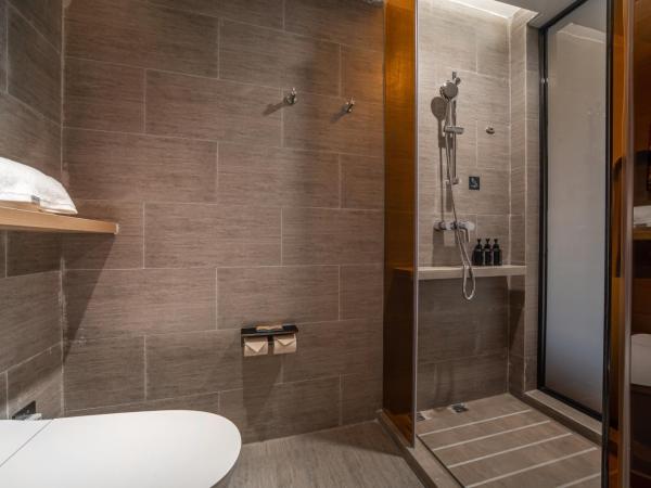 Atour Hotel Wuxi New District Nanchan Temple Scenic Area : photo 1 de la chambre jimu double room