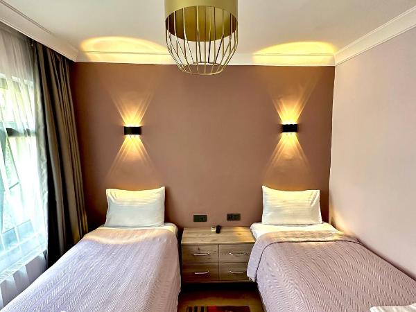 Terrace Guesthouse : photo 6 de la chambre suite supérieure