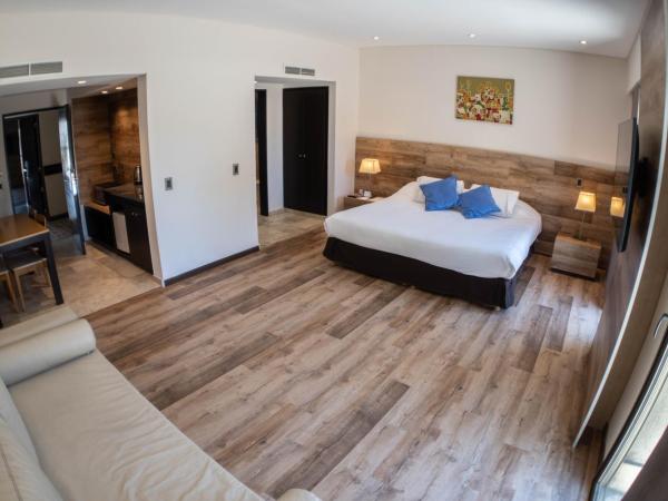 Mod Hotels Mendoza : photo 3 de la chambre chambre double exécutive