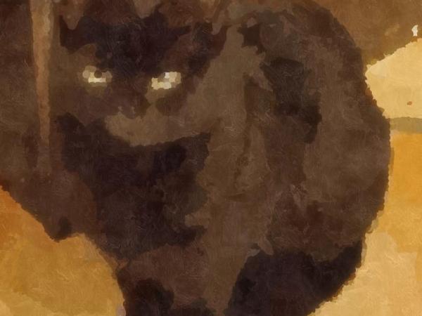 Maison Arelate : photo 10 de la chambre chambre double - vue sur jardin