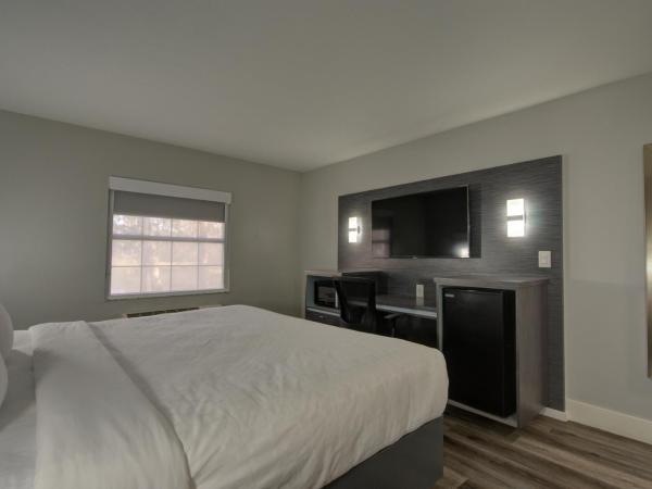 Clarion Pointe Tampa-Brandon Near Fairgrounds and Casino : photo 3 de la chambre chambre lit king- size - non-fumeurs - 1er Étage