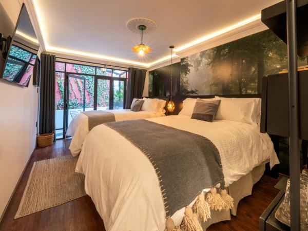 Orchid House Polanco : photo 2 de la chambre chambre lits jumeaux