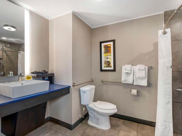 GLo Best Western Pooler - Savannah Airport Hotel : photo 1 de la chambre chambre lit king-size - accessible aux personnes à mobilité réduite