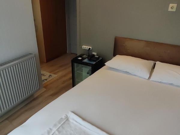 Hotel Torun Istanbul Old City : photo 10 de la chambre chambre double - vue sur jardin