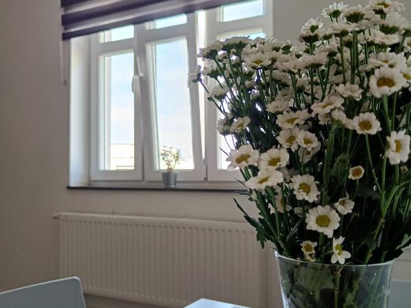 Blues Rooms : photo 1 de la chambre studio familial