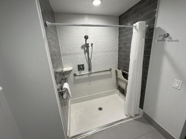 Holiday Inn Express - Dallas Downtown, an IHG Hotel : photo 4 de la chambre chambre lit queen-size avec douche accessible en fauteuil roulant et aux personnes malvoyantes et malentendantes