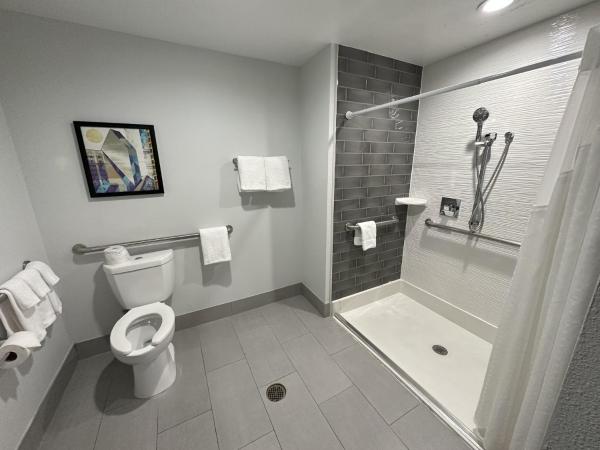 Holiday Inn Express - Dallas Downtown, an IHG Hotel : photo 4 de la chambre chambre avec 2 lits doubles avec douche accessible en fauteuil roulant et aux personnes malvoyantes et malentendantes