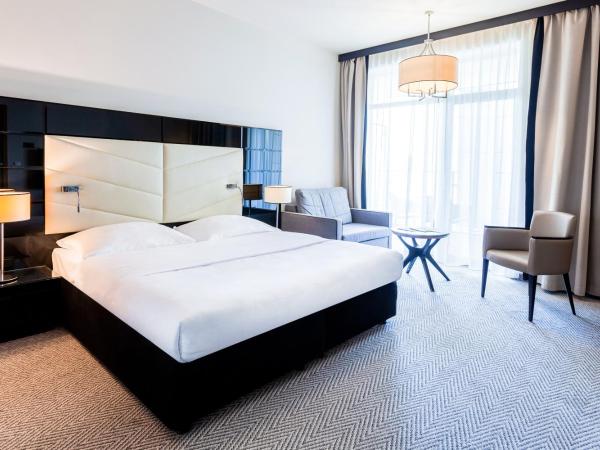 Diune Hotel by Zdrojowa : photo 1 de la chambre chambre double avec lit d'appoint