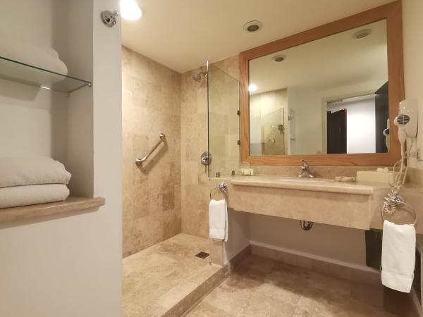 Holiday Inn Monterrey Valle, an IHG Hotel : photo 2 de la chambre chambre lits jumeaux exécutive - non-fumeurs