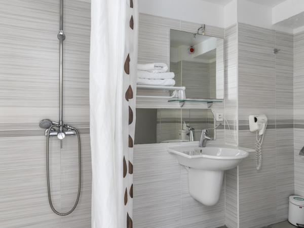 Hotel Les Palmiers En Camargue : photo 6 de la chambre chambre familiale standard