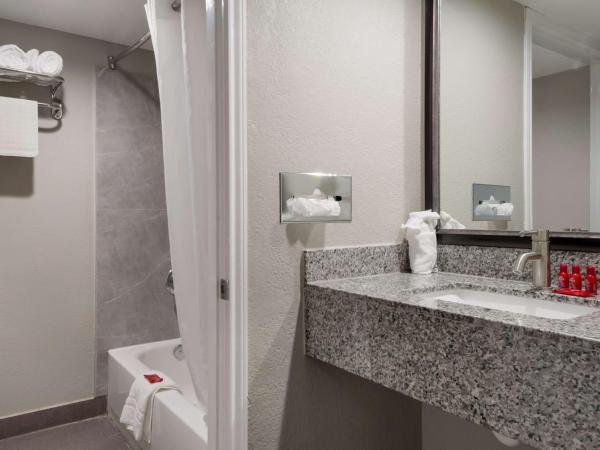 SureStay Plus Hotel by Best Western San Antonio North : photo 4 de la chambre chambre avec 2 grands lits queen-size