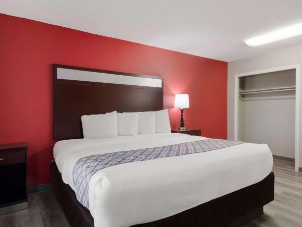 SureStay Plus Hotel by Best Western San Antonio North : photo 1 de la chambre suite lit king-size avec canapé-lit