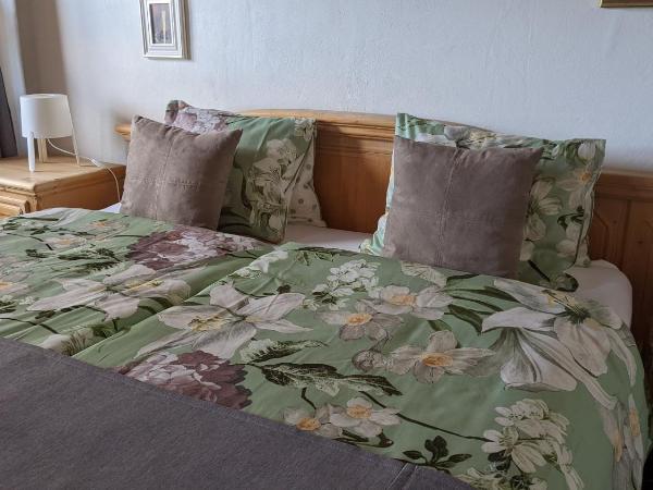 Hotel Beau-Séjour : photo 1 de la chambre chambre double avec balcon - vue panoramique