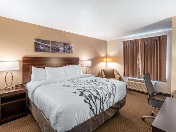 Sleep Inn & Suites Denver International Airport : photo 1 de la chambre suite lit king-size avec canapé-lit - non-fumeurs