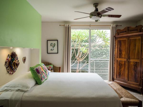 Casa de las Bugambilias B&B : photo 3 de la chambre chambre lit king-size