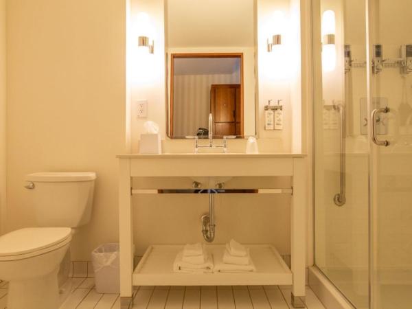 Holiday Inn Express Columbus Airport Easton : photo 1 de la chambre chambre lit king-size standard