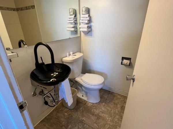 Thriftlodge Saskatoon : photo 6 de la chambre chambre lit king-size avec coin cuisine - non-fumeurs