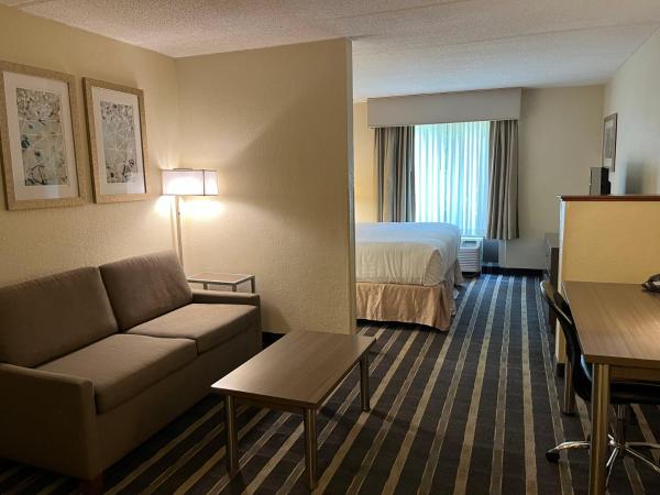 Sky Point Hotel & Suites - Atlanta Airport : photo 7 de la chambre suite lit king-size avec baignoire - accessible aux personnes à mobilité réduite