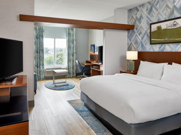 Fairfield Inn and Suites by Marriott Nashville Downtown/The Gulch : photo 4 de la chambre suite lit king-size avec canapé-lit