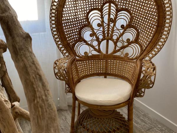 Hôtel Le Neptune en Camargue : photo 9 de la chambre suite junior