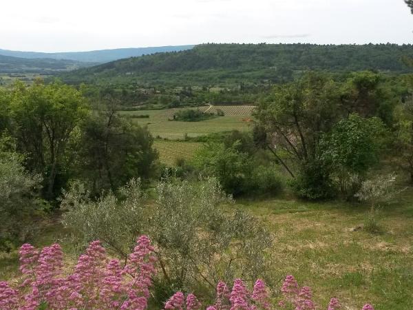 Le Logis : photo 7 de la chambre grande chambre double 