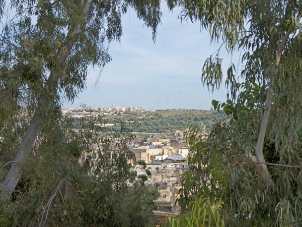 Dar Roumana : photo 9 de la chambre chambre double yasmina