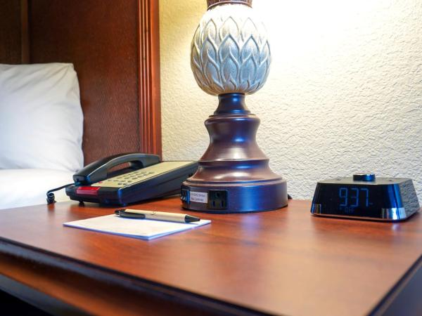 Rosen Inn Lake Buena Vista : photo 7 de la chambre chambre deluxe avec 2 lits doubles