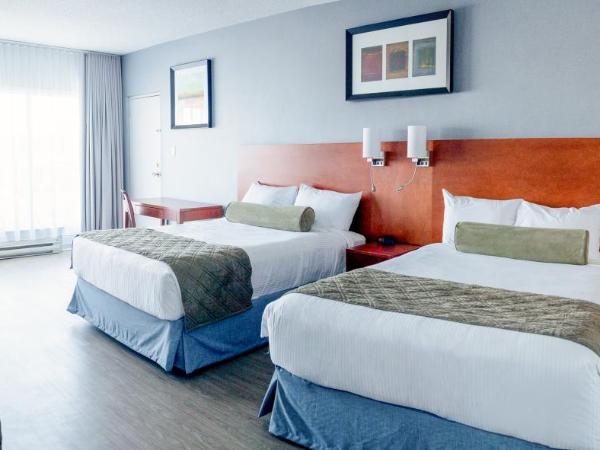 Auberge Royal Versailles : photo 1 de la chambre chambre deluxe avec 2 lits queen-size