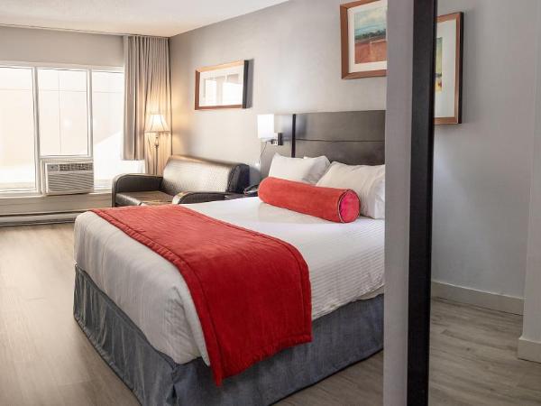 Auberge Royal Versailles : photo 1 de la chambre chambre premium lit queen-size avec canapé-lit