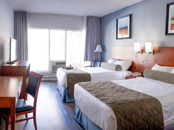 Auberge Royal Versailles : photo 1 de la chambre chambre deluxe avec 2 lits doubles