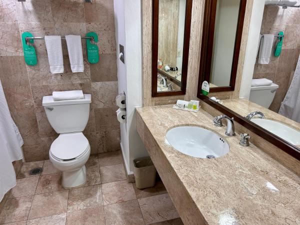 Holiday Inn Merida, an IHG Hotel : photo 2 de la chambre chambre lit king-size standard