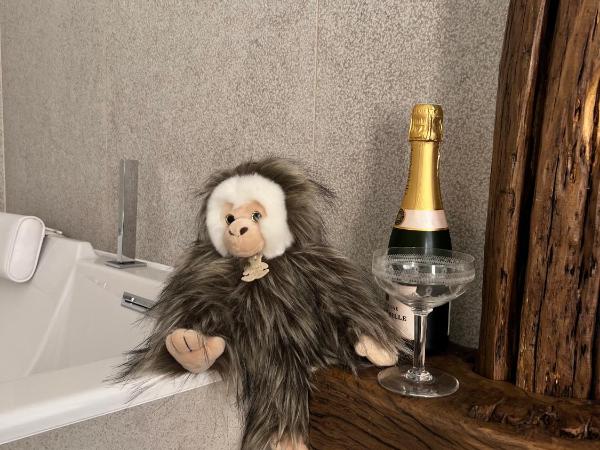 Tamarin & Capucin Suite Balnéo : photo 7 de la chambre suite lit queen-size avec baignoire spa