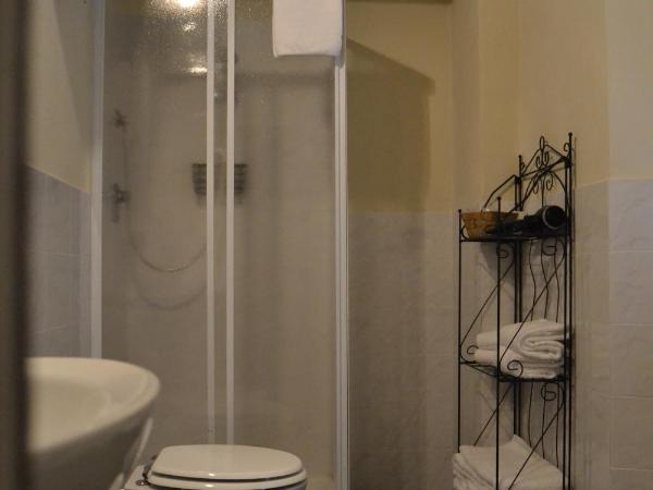 B&B Pantaneto - Palazzo Bulgarini : photo 6 de la chambre chambre double avec salle de bains privative extérieure
