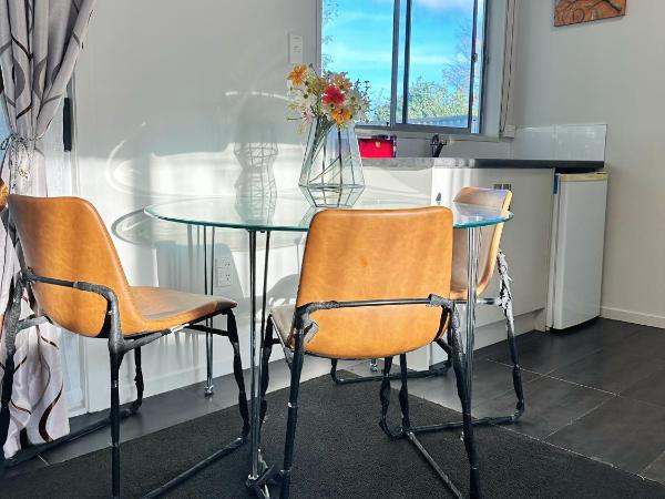 Red Rock Thermal Motel - Mineral Pool : photo 3 de la chambre appartement 1 chambre deluxe