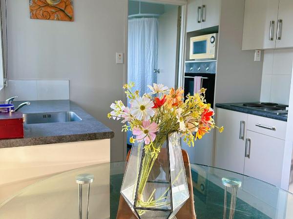 Red Rock Thermal Motel - Mineral Pool : photo 4 de la chambre appartement 1 chambre deluxe