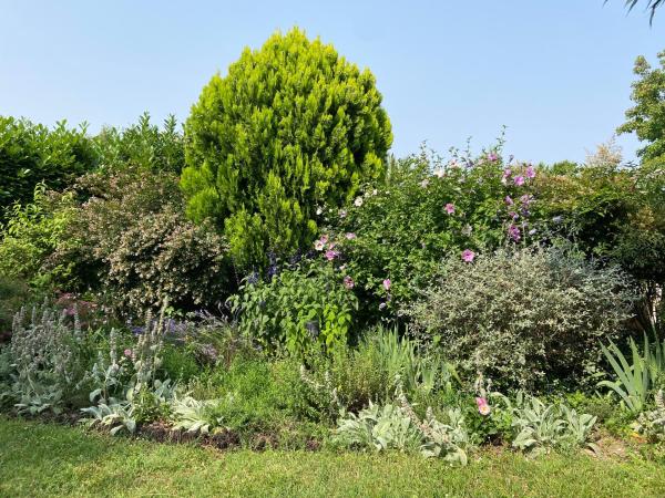 Sweet Home - 55m2 appt, garden, swimming pool, parking : photo 8 de la chambre chambre lit queen-size - vue sur jardin