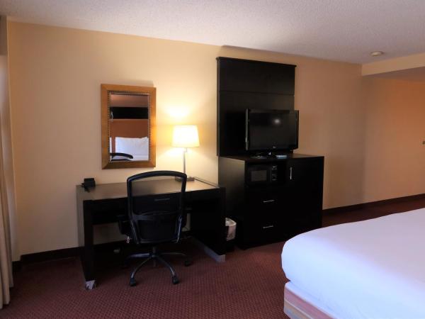 GreenTree Hotel Phoenix West : photo 2 de la chambre chambre lit king-size - non-fumeurs