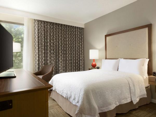 Hampton Inn Atlanta-Buckhead : photo 3 de la chambre chambre lit queen-size avec douche accessible en fauteuil roulant - adaptée aux personnes à mobilité réduite/non-fumeurs