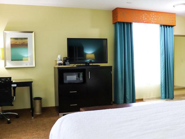 Hampton Inn Austin Oak Hill : photo 2 de la chambre chambre lit king-size - adaptée aux personnes malentendantes - non-fumeurs