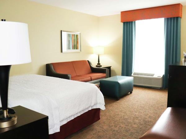 Hampton Inn Austin Oak Hill : photo 2 de la chambre chambre lit king-size avec canapé-lit - non-fumeurs