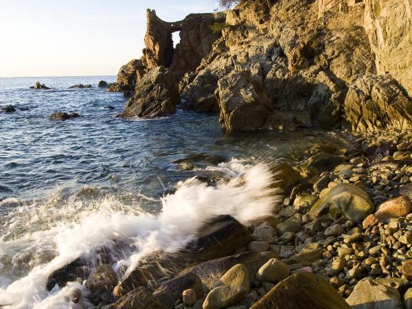 BLUESEA Copacabana : photo 2 de la chambre chambre simple