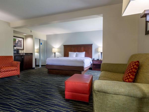 Hampton Inn Columbia I-26/Harbison Blvd : photo 3 de la chambre hébergement lit king-size avec canapé-lit - non-fumeurs 