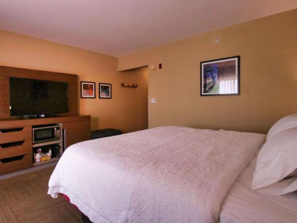 Hampton Inn & Suites Jacksonville Beach Boulevard/Mayo Clinic : photo 4 de la chambre chambre lit king-size - non-fumeurs